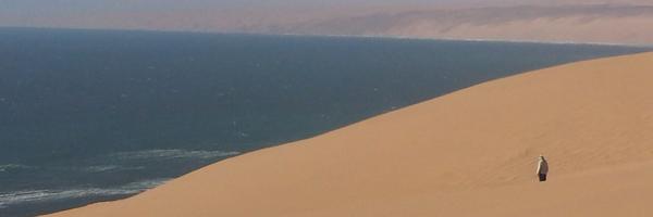 AdventureAward Profile Banner