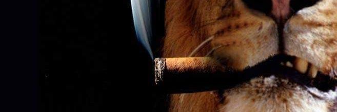 Feo_Guapo_'s profile banner image