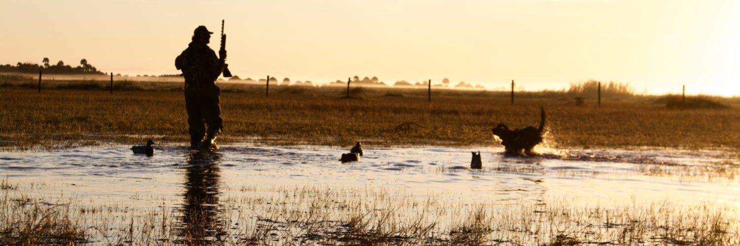 Britton Daniel banner