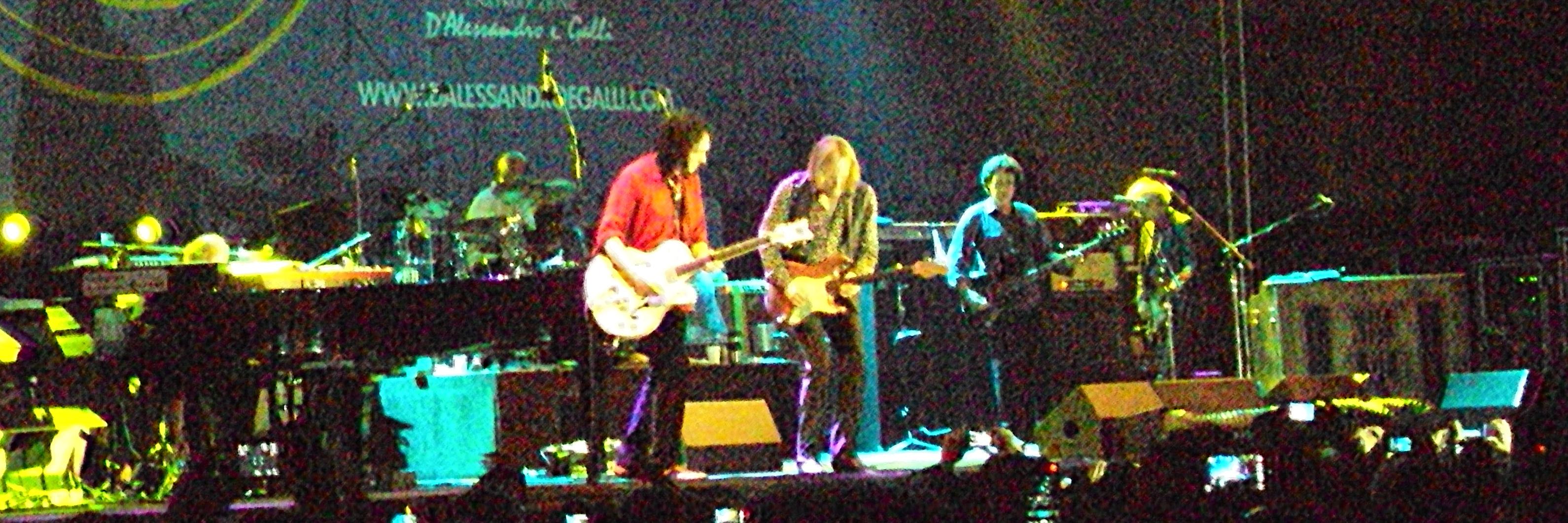 Jaume Fitzgibbons de Romagosa. banner