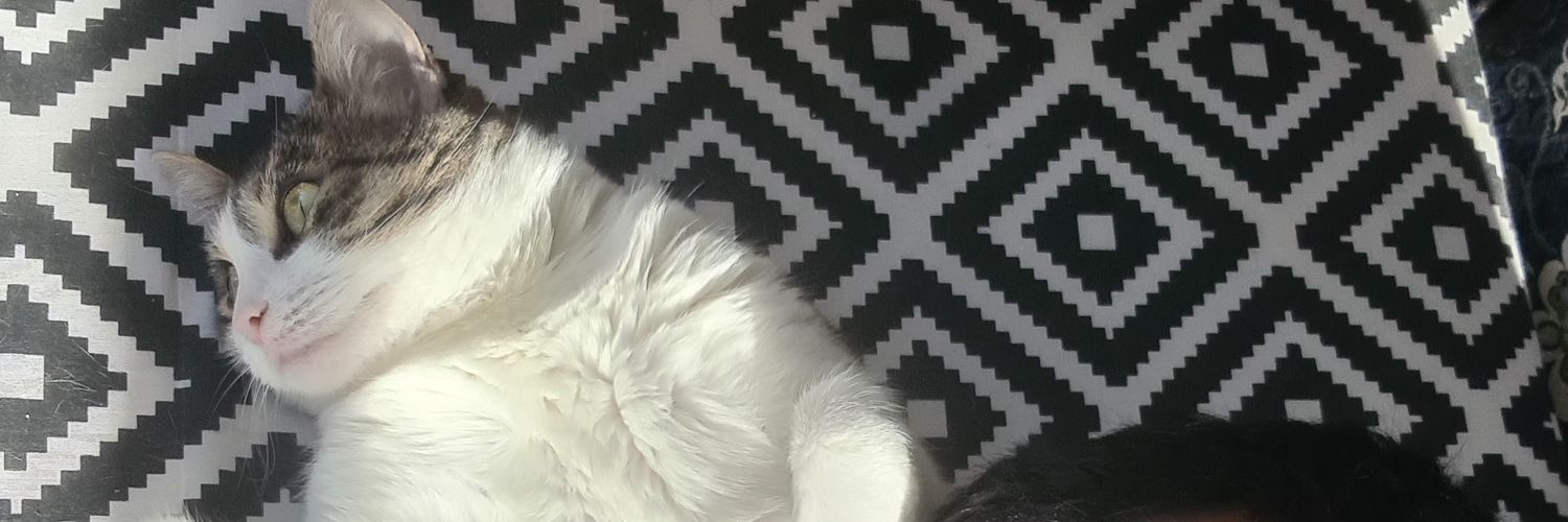 Mortabut's profile banner image