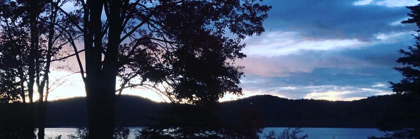 mlaskowskiscasd's profile banner image