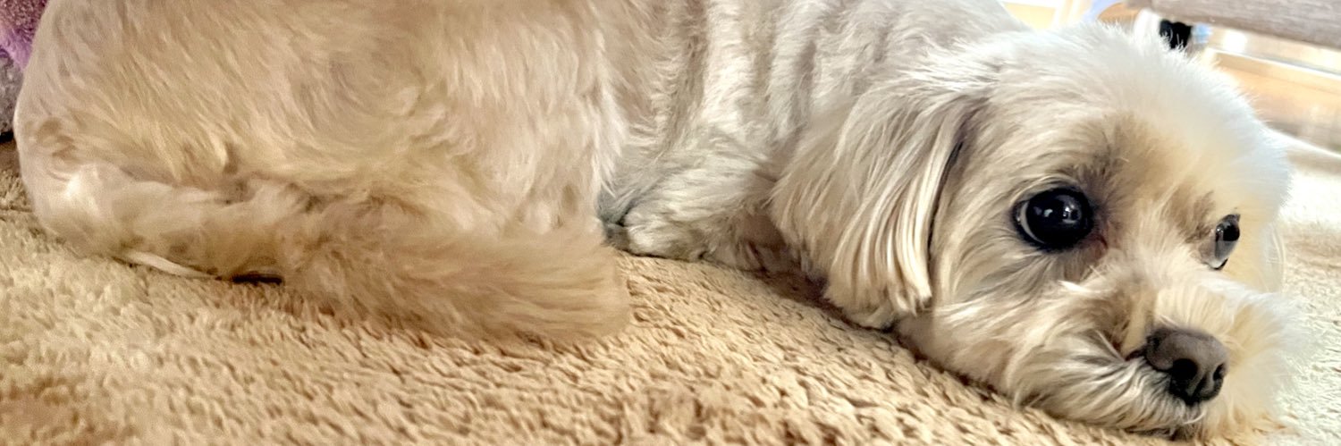 髙倉さん。 banner