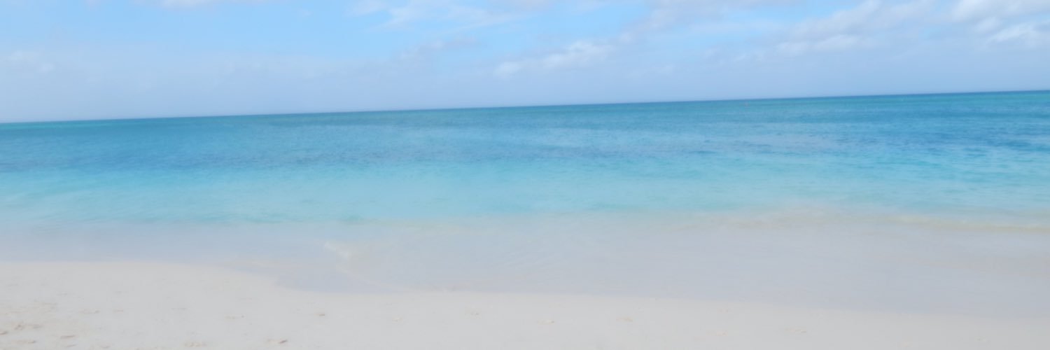 joyzingoni's profile banner image