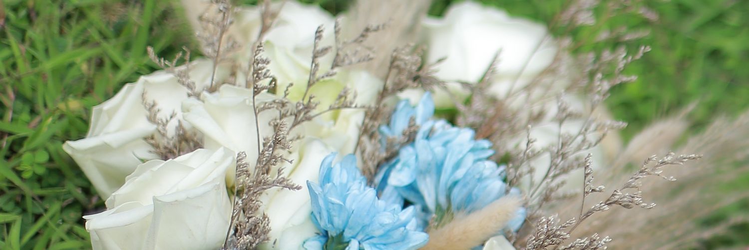 VSLaksmi's profile banner image