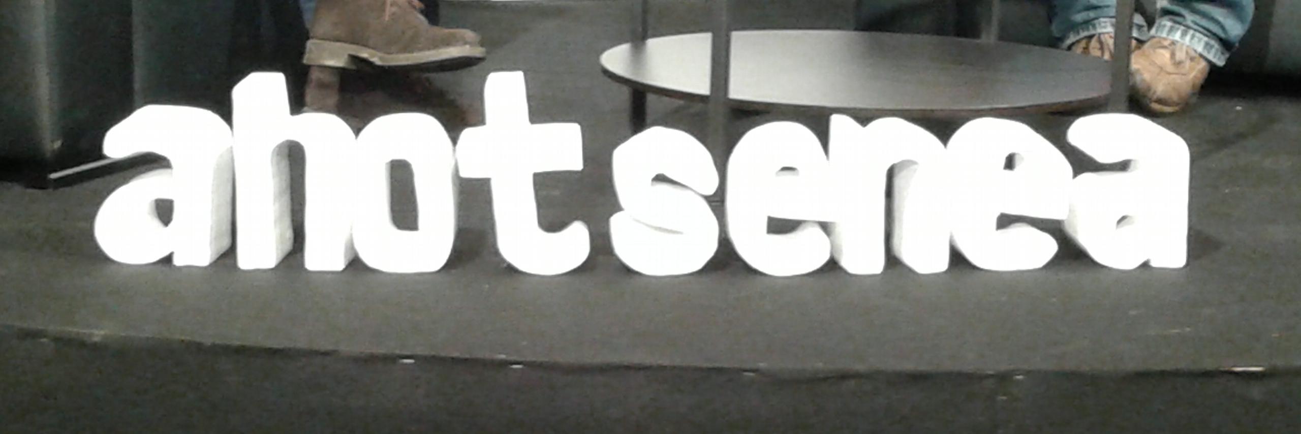 ahotsenea's profile banner image
