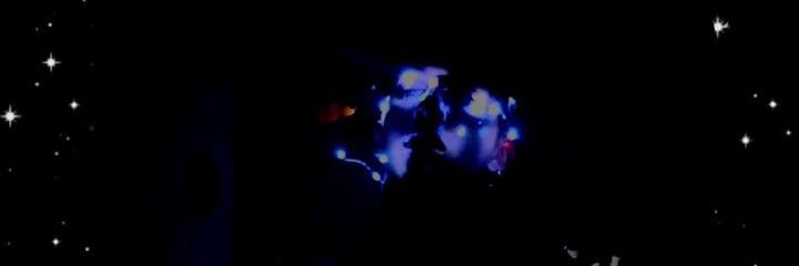 Leafar_rinavi's profile banner image