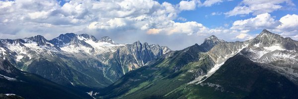 taylorrocca Profile Banner