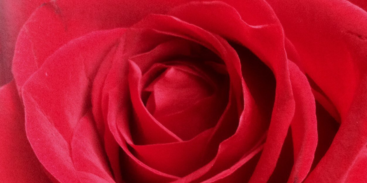 milenaMDJ's profile banner image