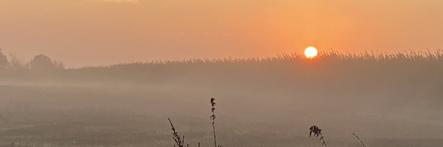 TraceyKBacon's profile banner image