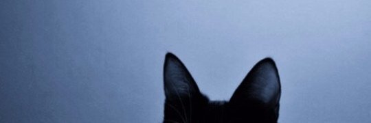 garshya's profile banner image