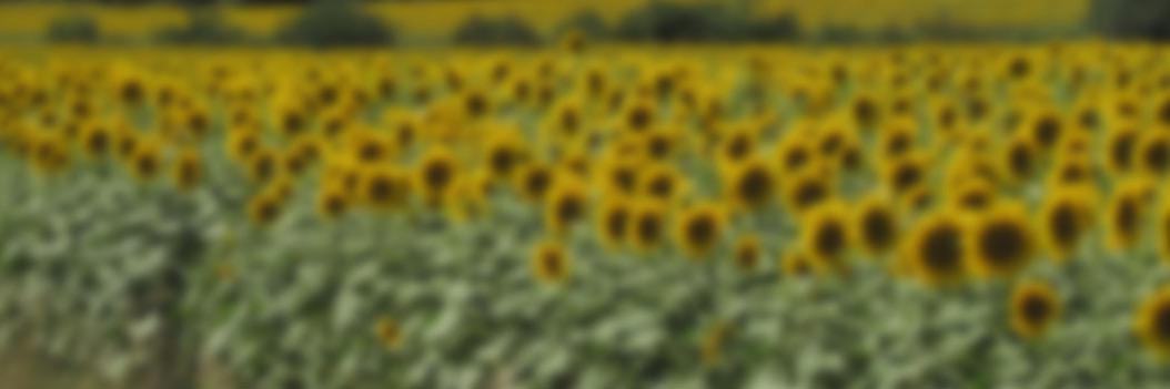 ACountryPile's profile banner image