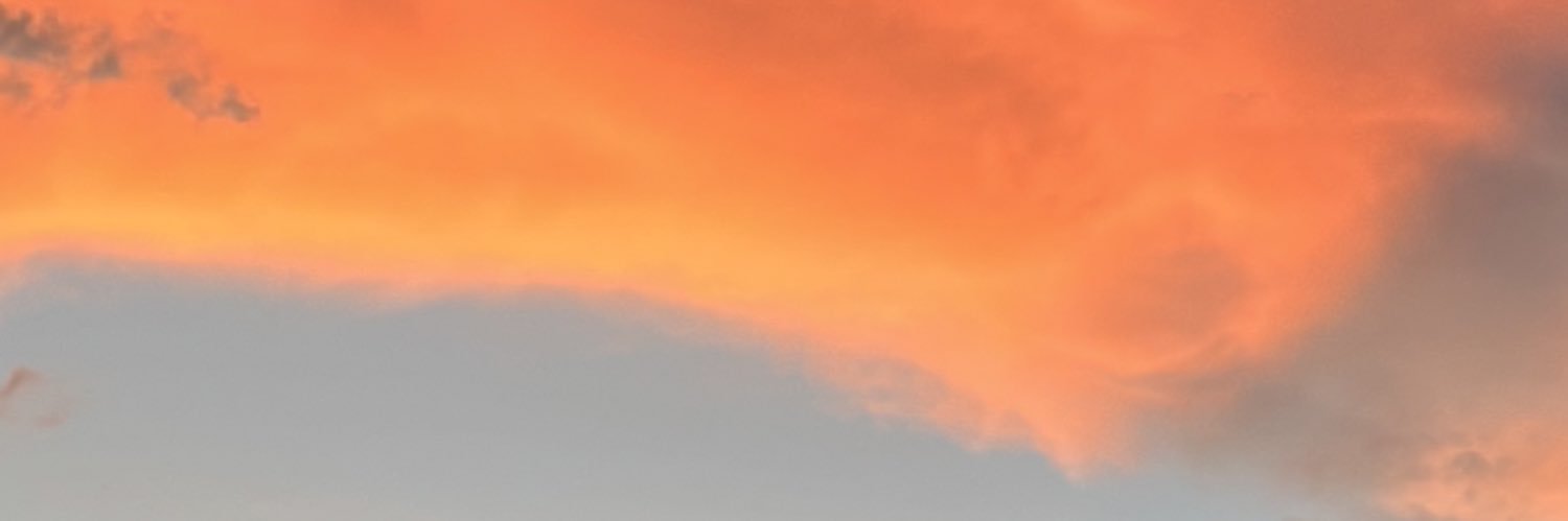 ceskaflores_'s profile banner image