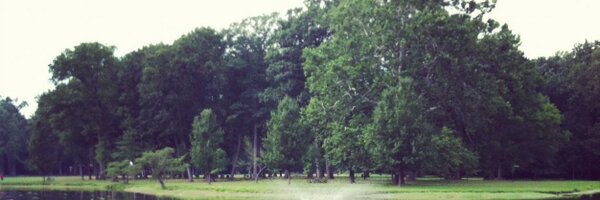 AP_Holness Profile Banner