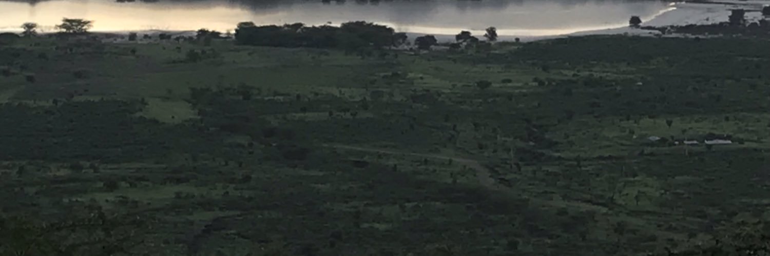 more_sety's profile banner image