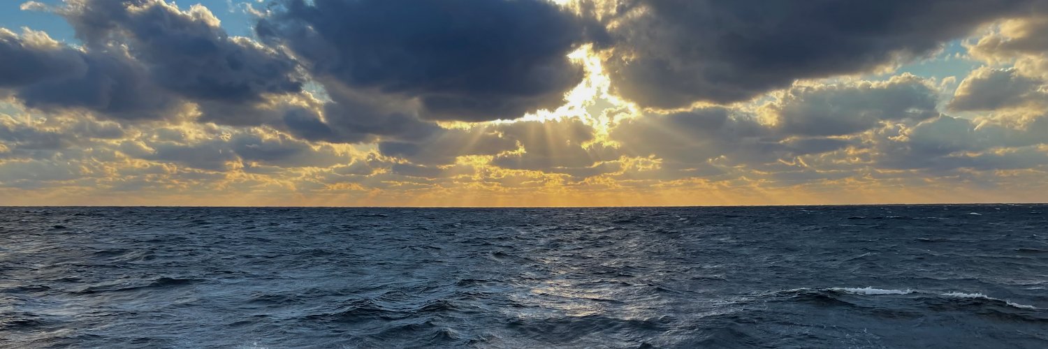 oceanosaurus's profile banner image