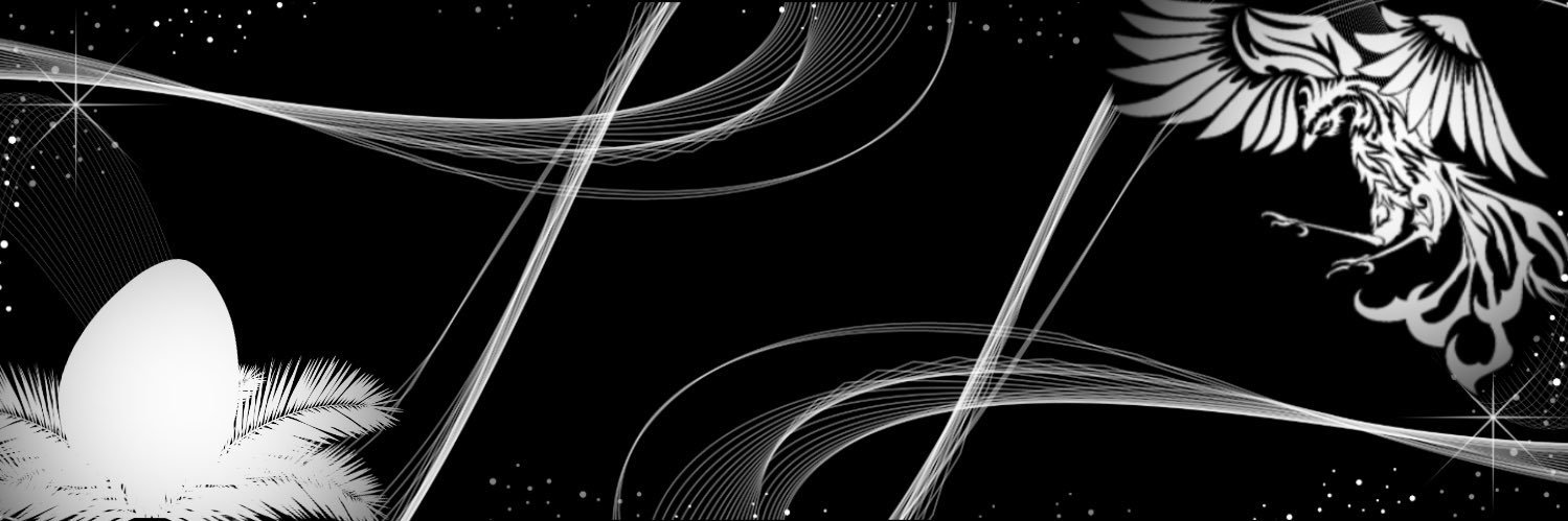 t09k14's profile banner image