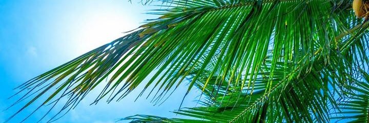 Tom Konisiewicz banner