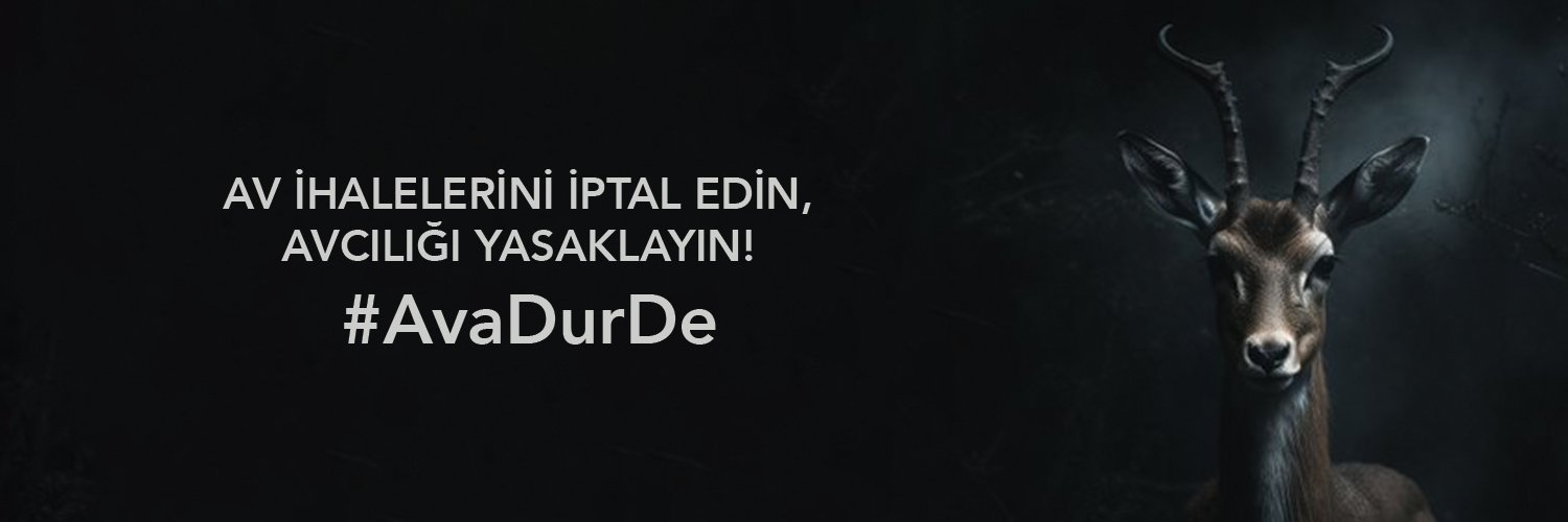 Vegan Derneği Türkiye banner