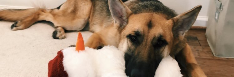 katieee_c9's profile banner image