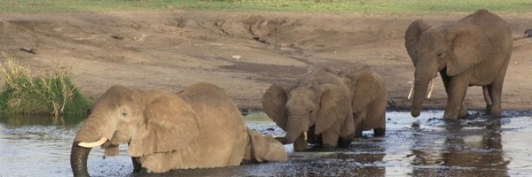 jankeato Profile Banner