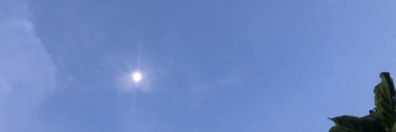 ttnnim's profile banner image