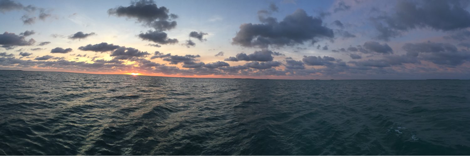 OscyTweets's profile banner image