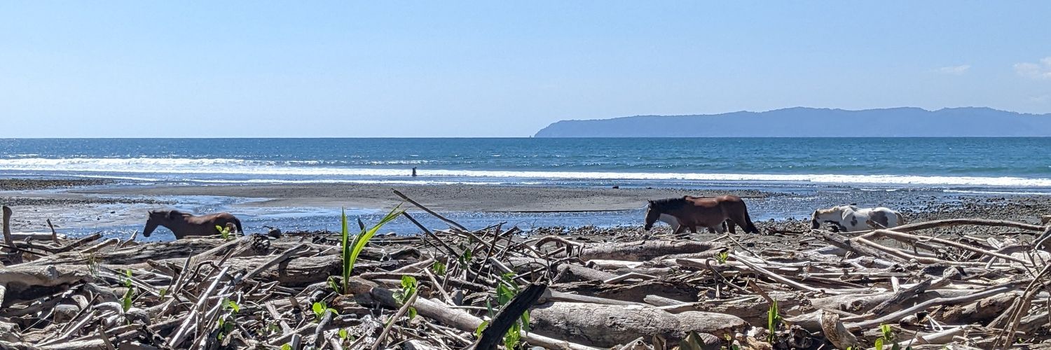 PersianPrince ✡︎ banner