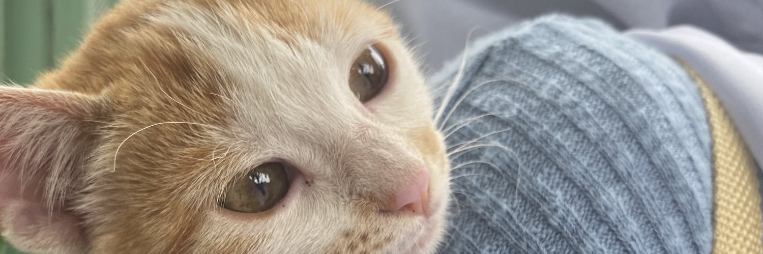 relyrayi's profile banner image