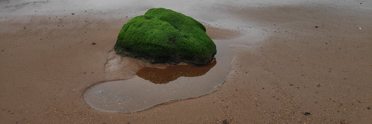 Dullitrigger 🇩🇪🇩🇰🇪🇺🇺🇦🇮🇱 banner