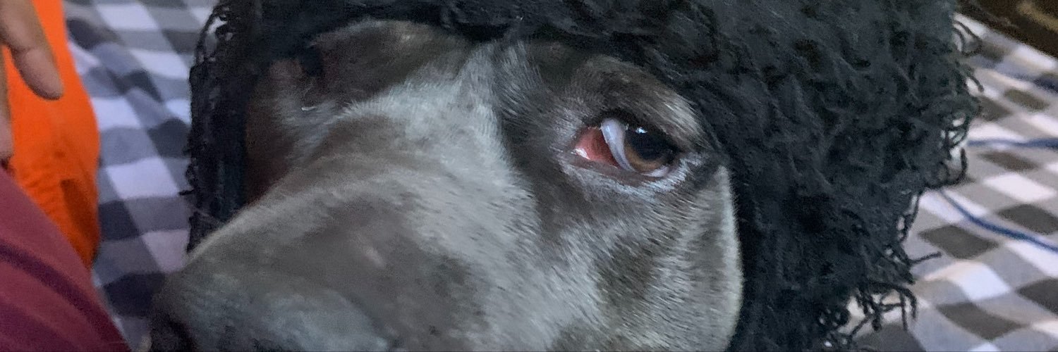 Kyle_The_Wild's profile banner image