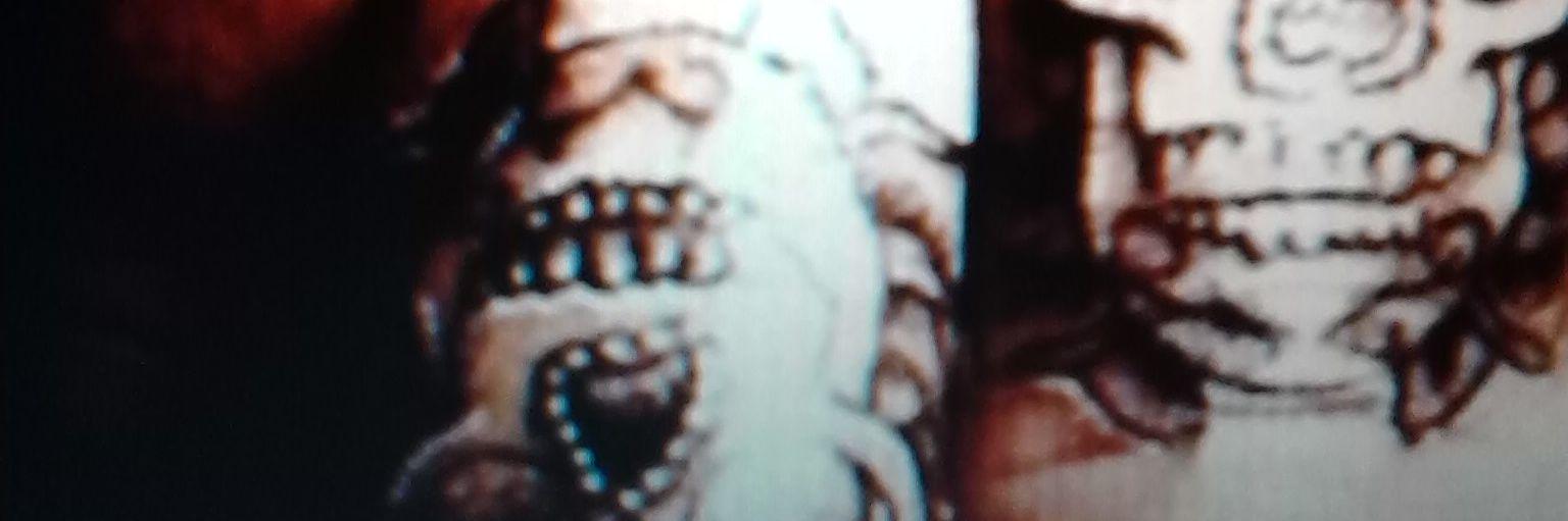 whozTermz's profile banner image