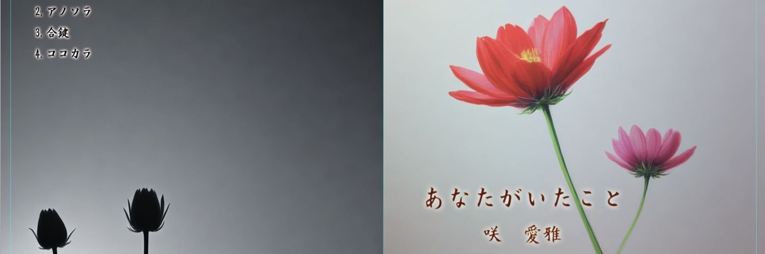 alkatwins's profile banner image