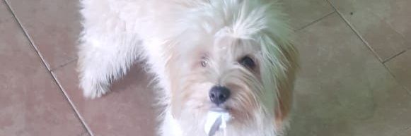 GAstoreca's profile banner image