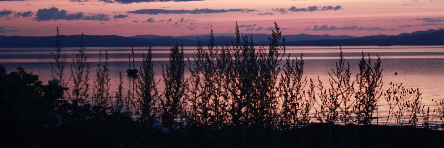ameliedboisvert's profile banner image
