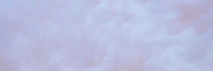 🐪 banner