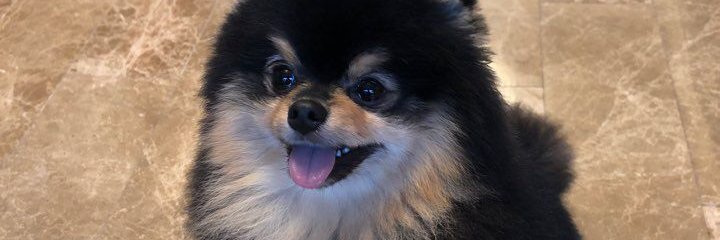 naufallianiaz's profile banner image