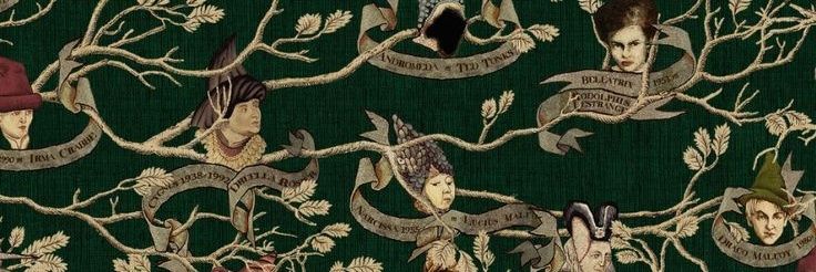 Sagitta_Ascella banner