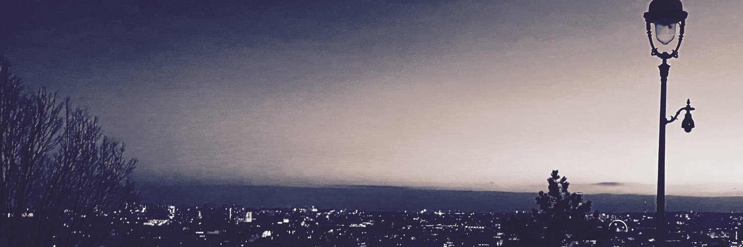lem_ran's profile banner image