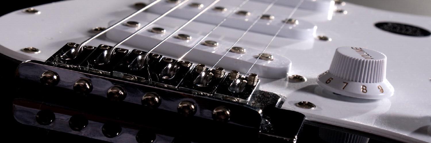 littlefingers banner