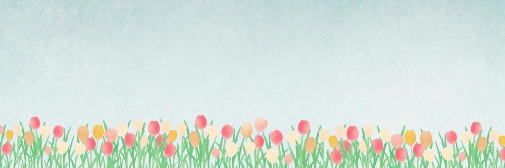 Mia Tarallo banner