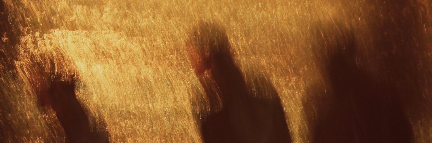 zach_zollo's profile banner image