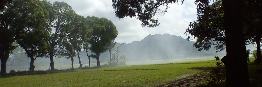 FritzArago's profile banner image
