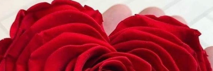 al_bayed's profile banner image