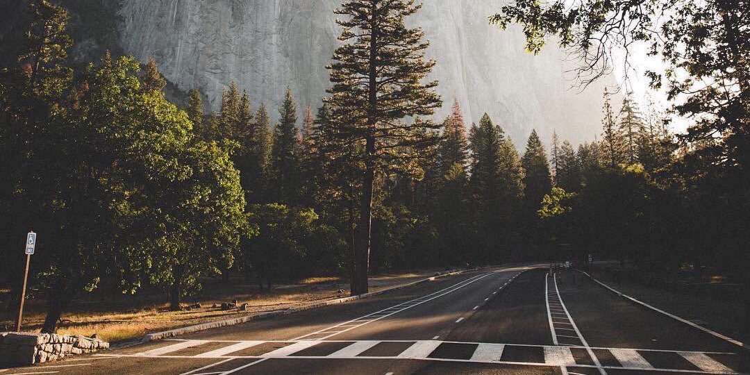 Kinda Digter. banner