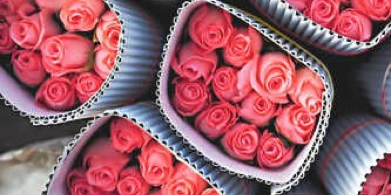 ba7ar88's profile banner image