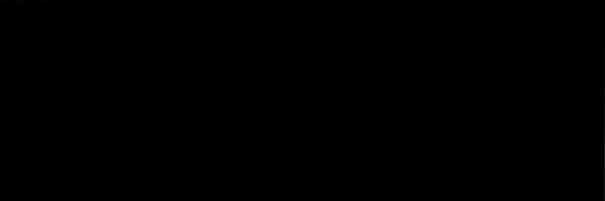 Dino DeMilio's banner