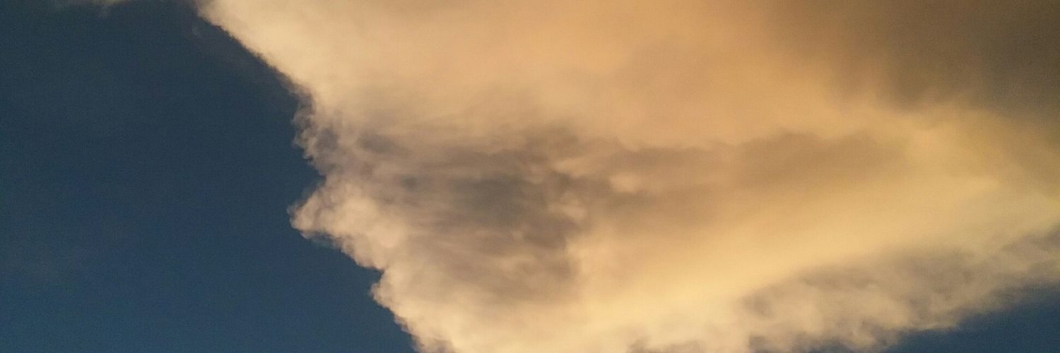 mrodrig225's profile banner image