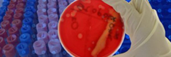 capath Profile Banner