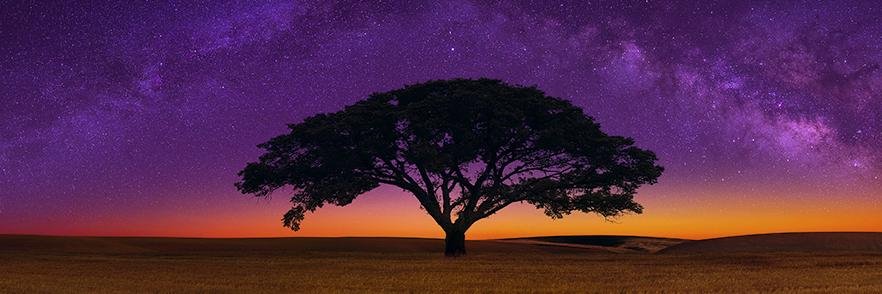 Michael C. Orza banner